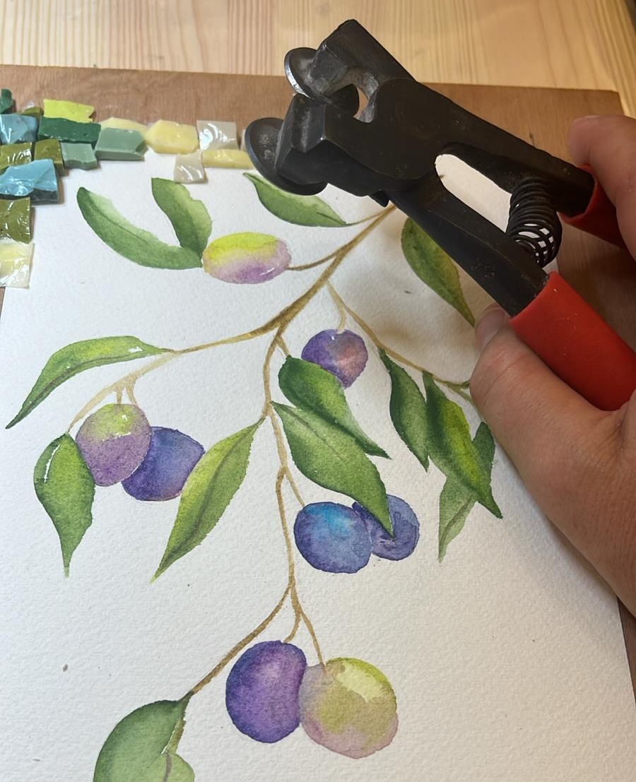 Travail en cours – olives