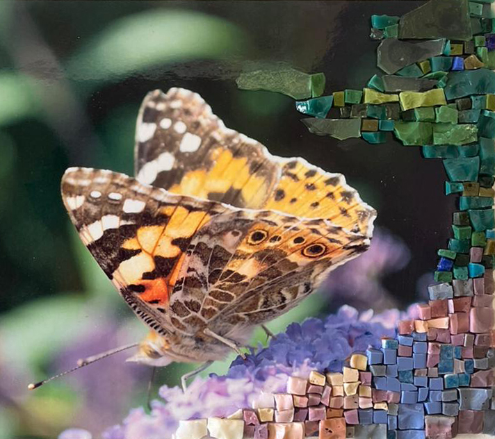 Mosaïque papillon